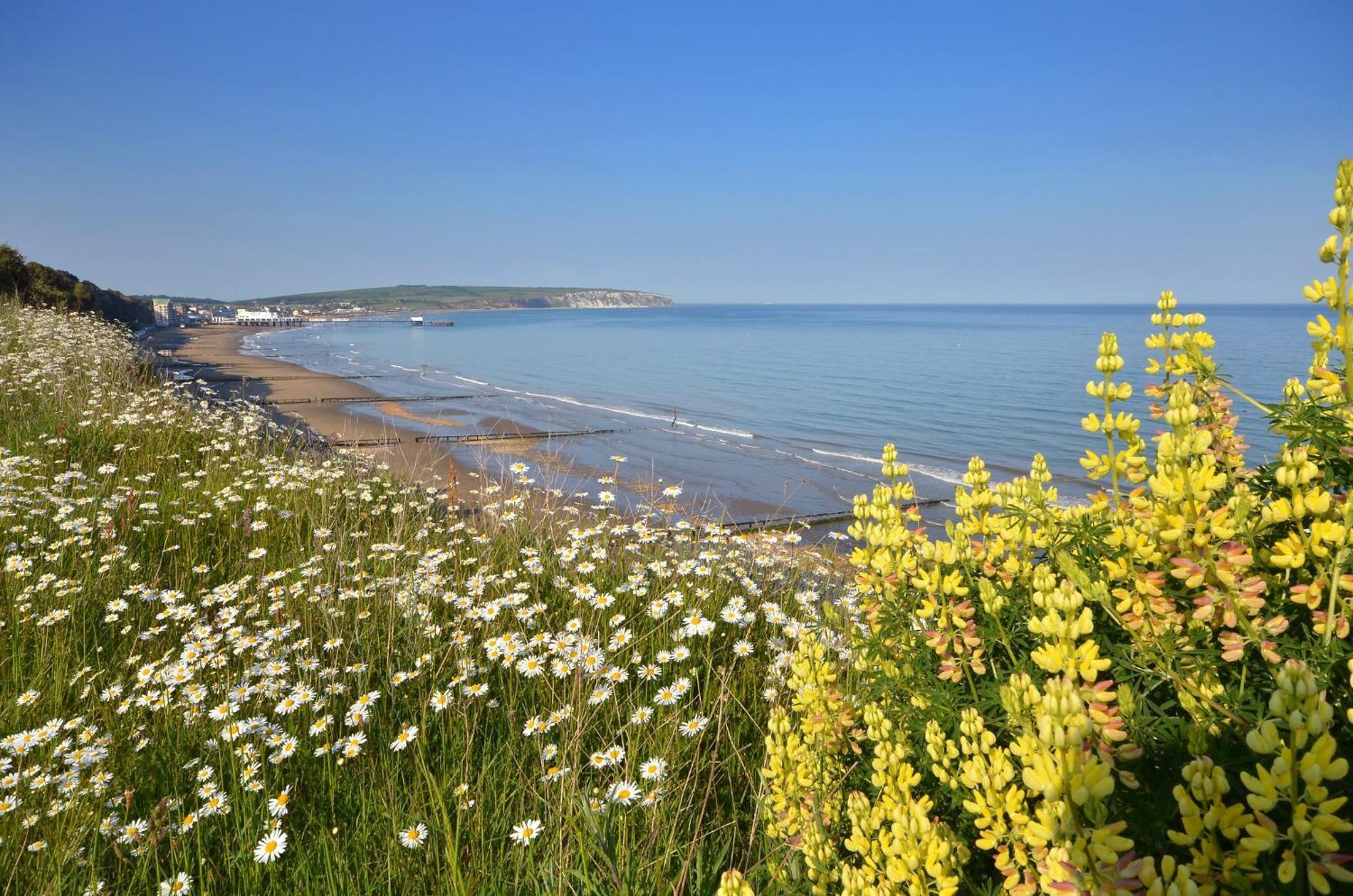 Vila The Haven - Isle Of Wight Sandown Exteriér fotografie